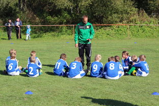 爱游戏官网-国家队战术决策效率如何提升，国家队战术决策效率如何提升的