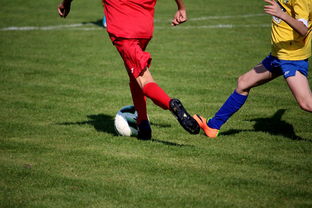 AYX体育官网-篮球训练计划科学制定与执行效果评估，篮球训练计划制定与范例